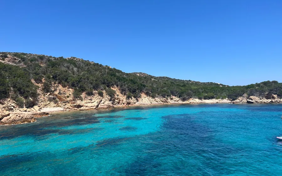 Turquoise water and seagrass along a wooded rocky coast